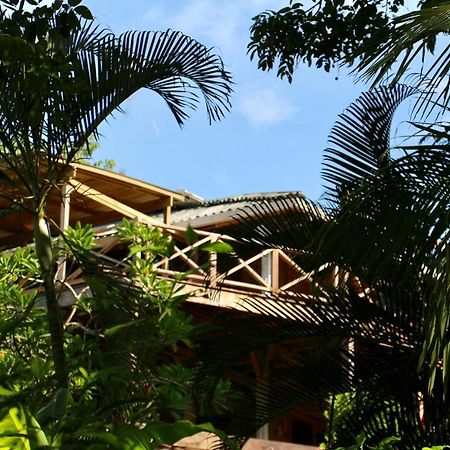 Eden Jungle Lodge Bocas del Toro Exteriér fotografie