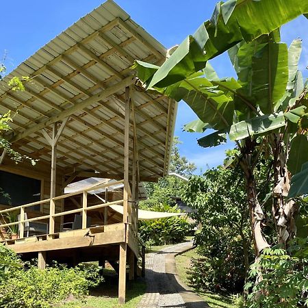 Eden Jungle Lodge Bocas del Toro Exteriér fotografie