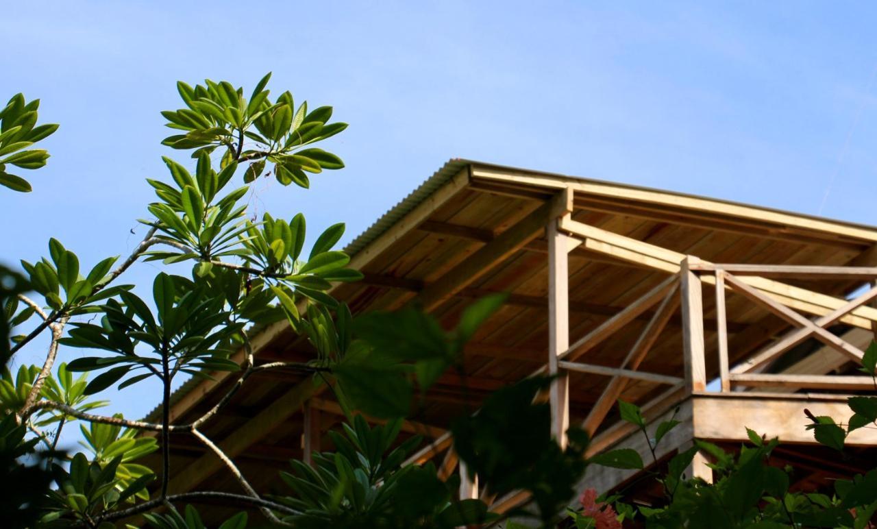 Eden Jungle Lodge Bocas del Toro Exteriér fotografie