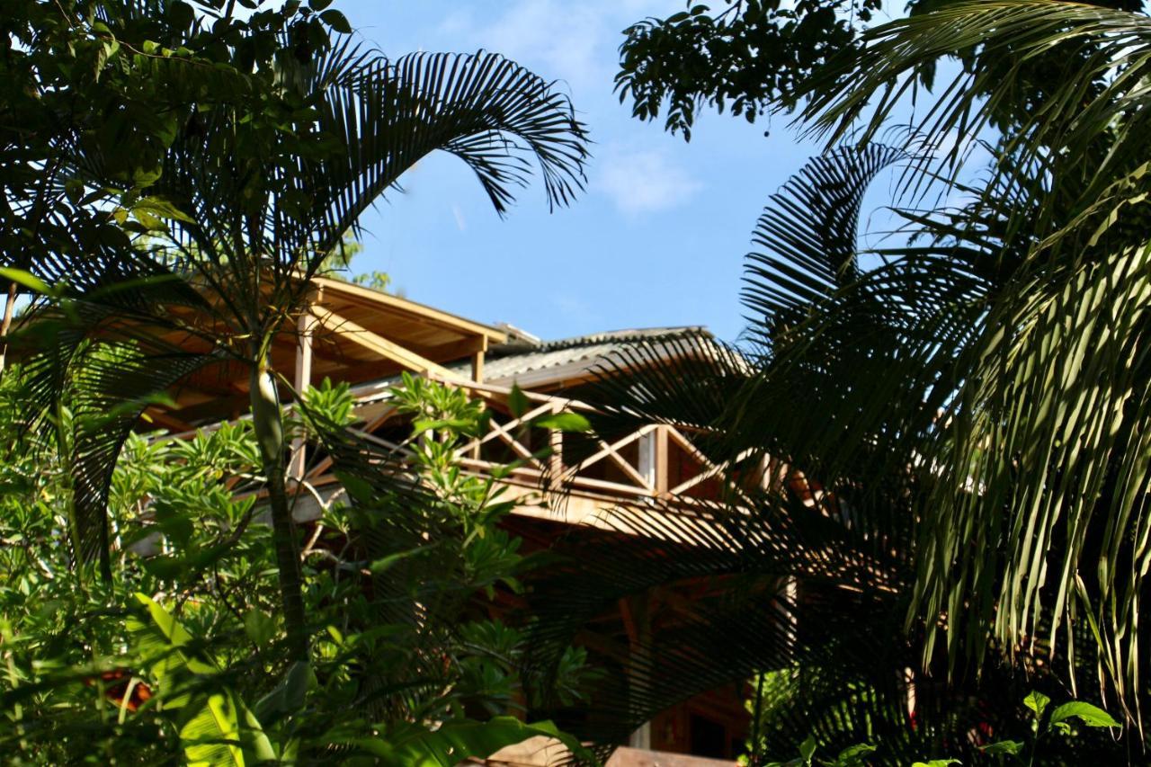 Eden Jungle Lodge Bocas del Toro Exteriér fotografie