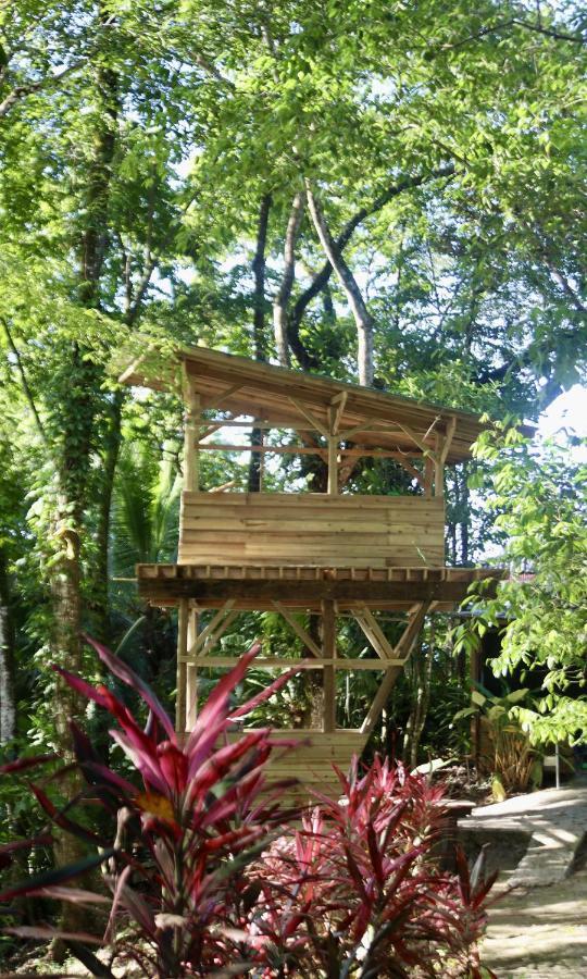 Eden Jungle Lodge Bocas del Toro Exteriér fotografie