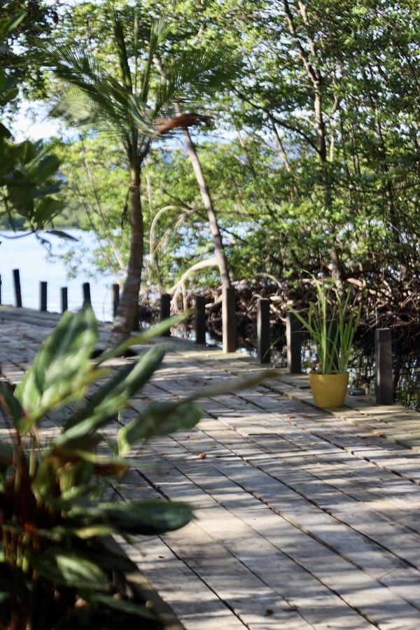Eden Jungle Lodge Bocas del Toro Exteriér fotografie