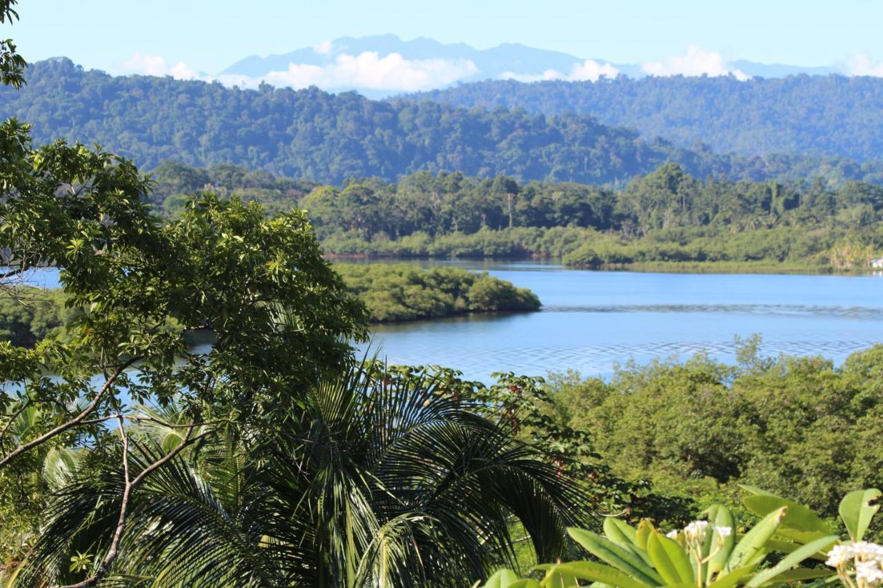 Eden Jungle Lodge Bocas del Toro Exteriér fotografie