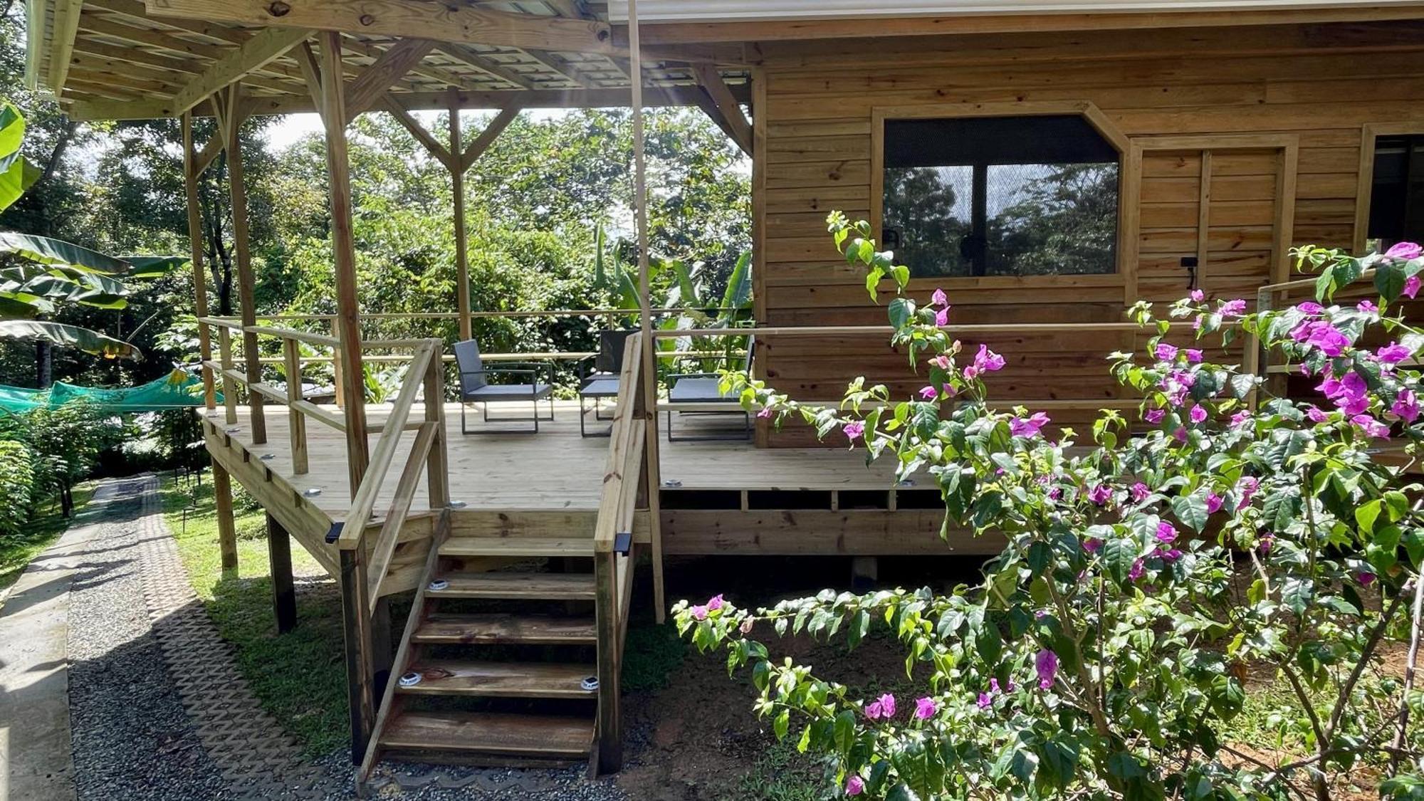 Eden Jungle Lodge Bocas del Toro Exteriér fotografie