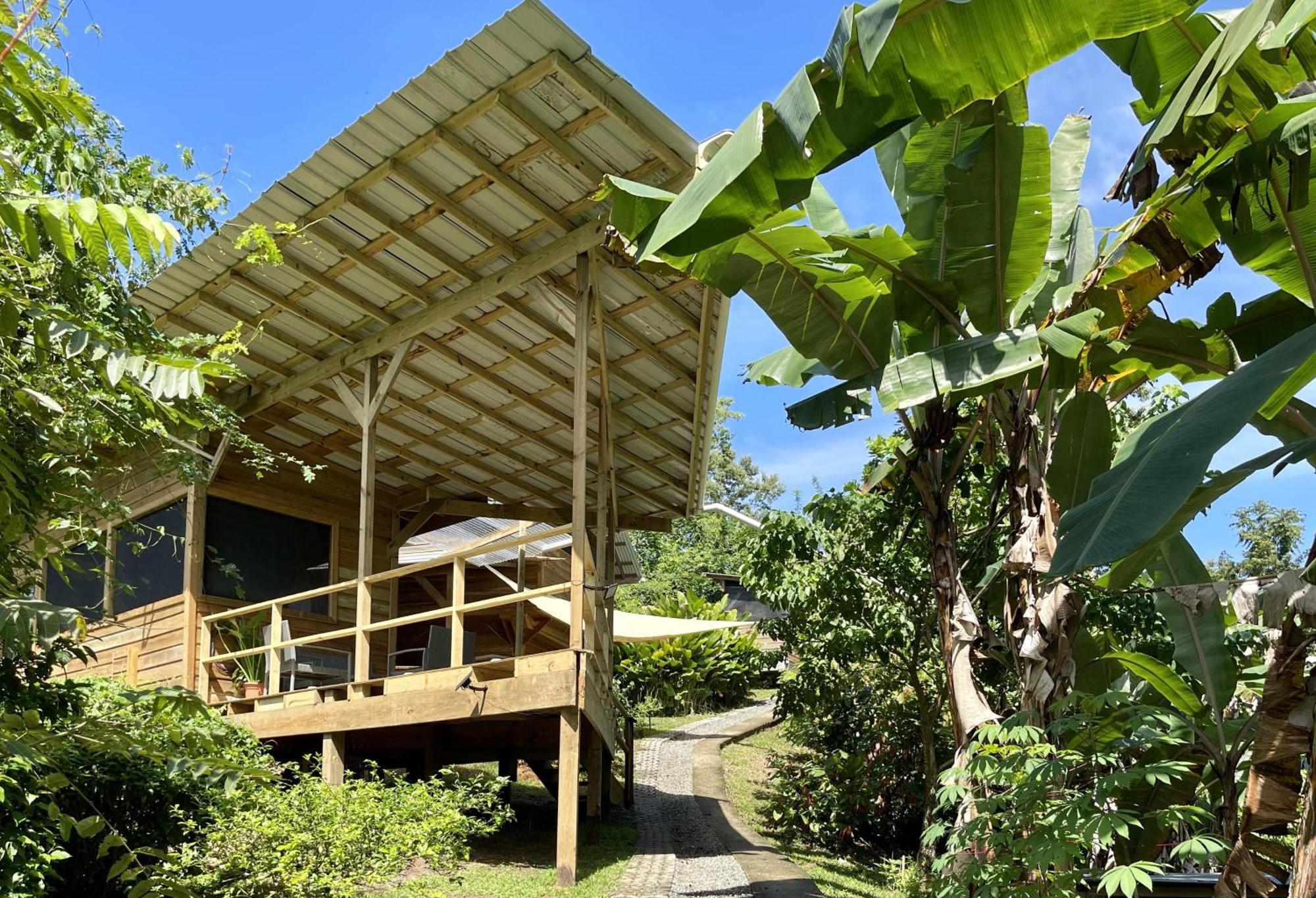 Eden Jungle Lodge Bocas del Toro Exteriér fotografie